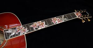 Custom Hummingbird Guitar