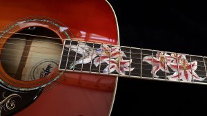 Custom Hummingbird Guitar