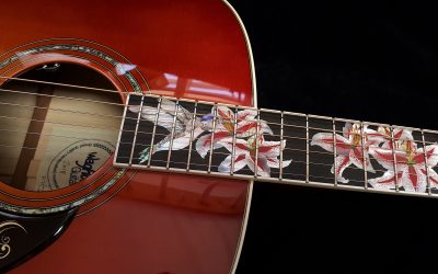 Custom Hummingbird Guitar