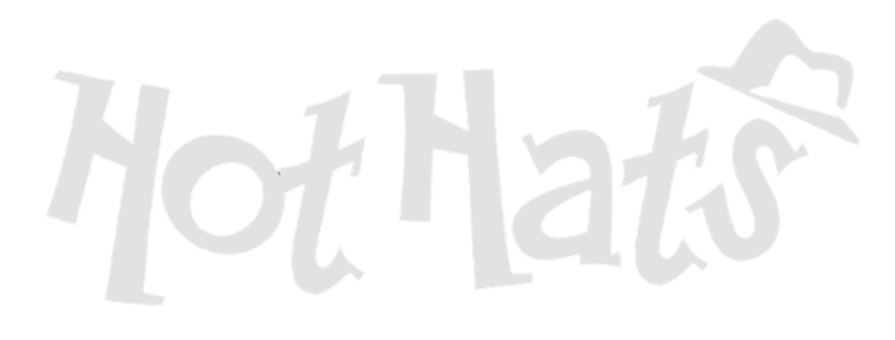 The Hot Hats - acoustic party band